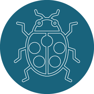Galerie des coléoptères, scarabées,coccinelles et charançons