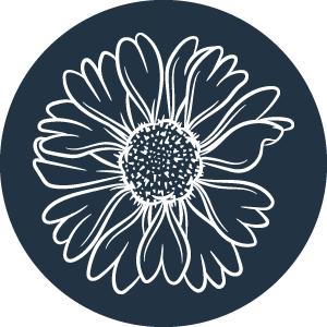 alt : Galerie de mes photos de fleur, végétaux et botanique