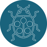 Galerie des coléoptères, scarabées,coccinelles et charançons